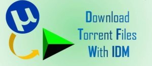 How to Download Torrents with IDM